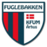 弗格尔巴肯